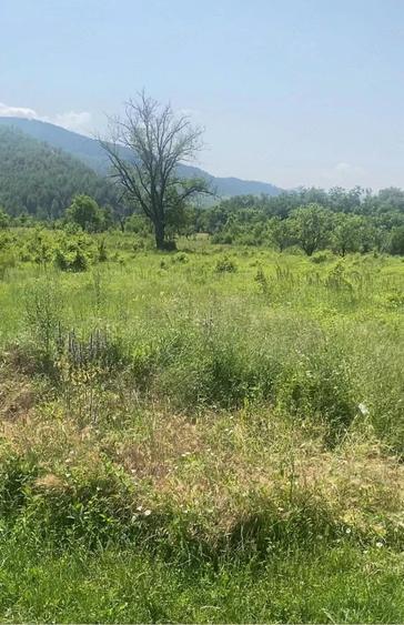 Teren de 2500 mp, în Central