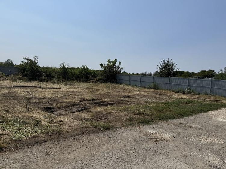 Teren de 500 mp, în Măgurele