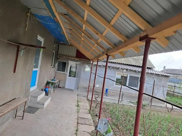 Casă cu 5 camere cu Teren 4000 Mp în Valea Nucarilor