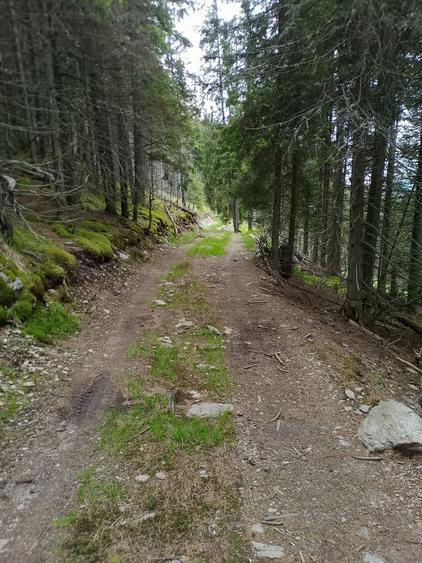 Teren de 25000 mp, în Central