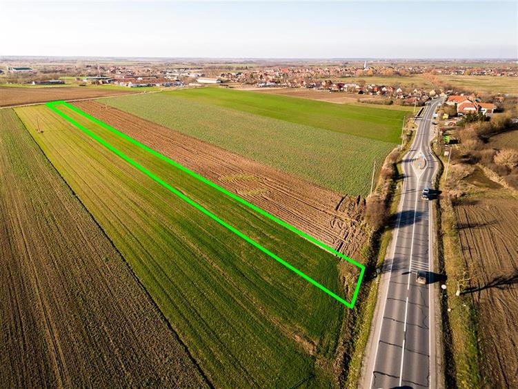 Teren intravilan de 5000 mp, în Tămășeu