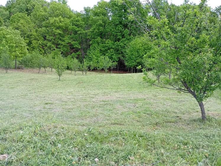 Teren de 1370 mp, în Băbana