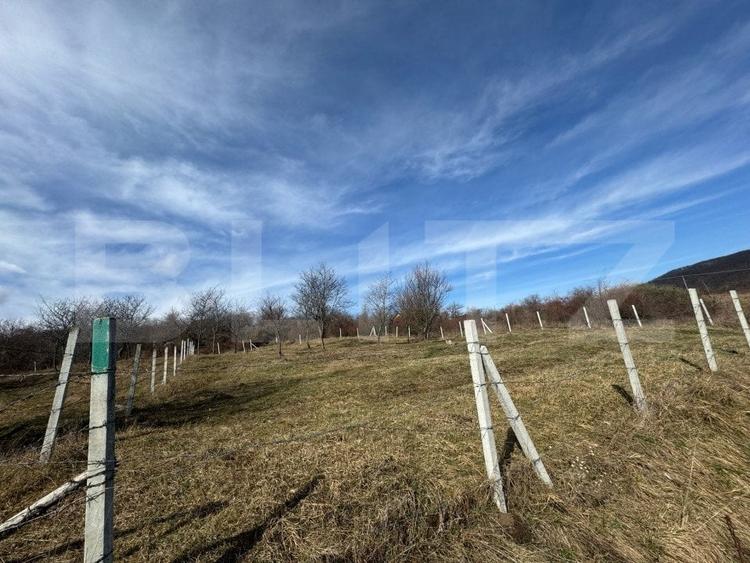 Teren agricol extravilan de 1000 mp, în Nord