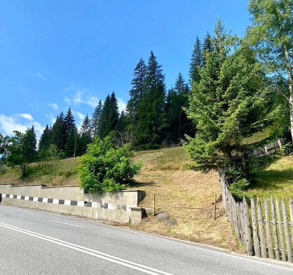 Teren intravilan in valea putnei, bucovina - acces direct din dn17 - 2