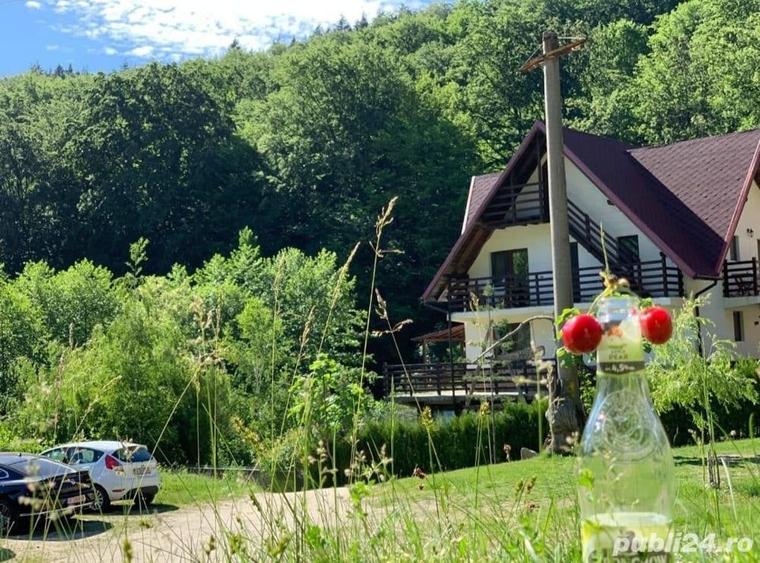Casă cu 6 camere cu Teren 250 Mp în Central