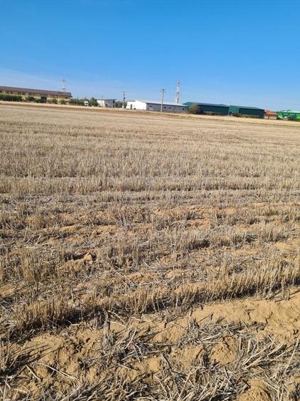 Teren de 66400 mp, în Biharia