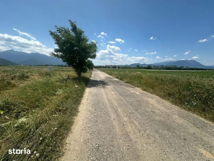 Teren 5000 mp Glajerie, zona Rasnov - 4