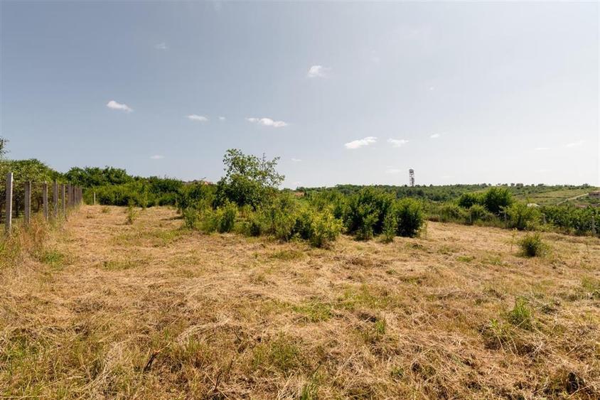 Teren intravilan de 1200 mp, în Paleu