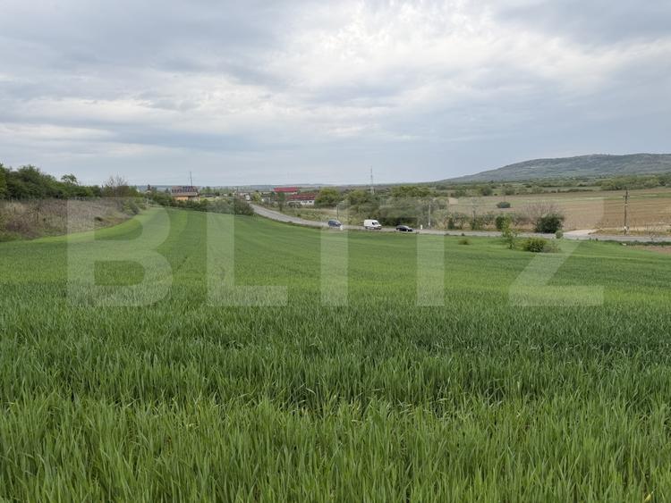 Teren Construcții intravilan de 12500 mp, în Bobota