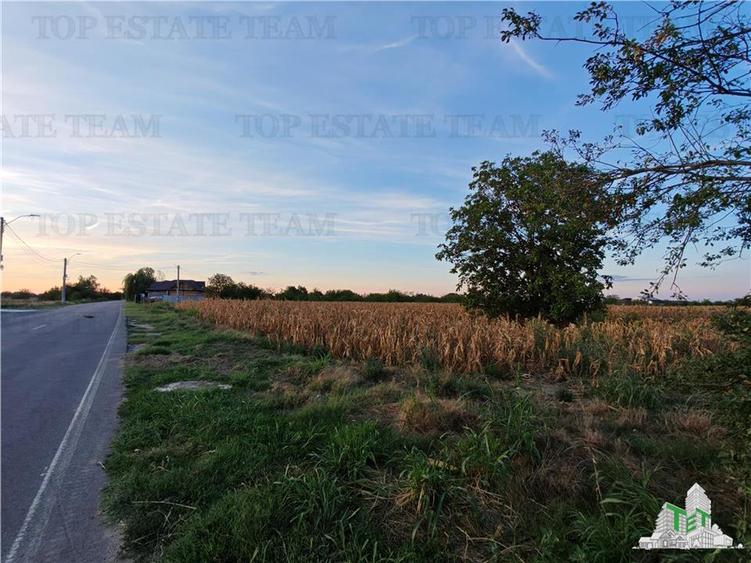 Teren Construcții intravilan de 2965 mp, în 1 Decembrie