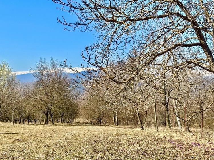 Casă cu 4 camere în Valea Rumâneștilor