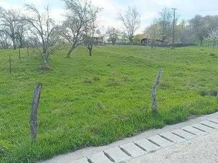 Teren de 2000 mp, în Talea