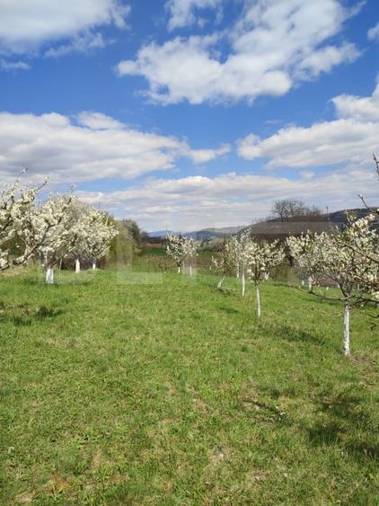 Teren agricol intravilan de 3300 mp, în Năsăud