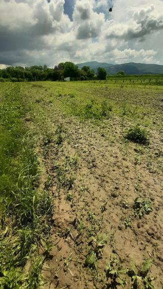 Teren de 1489 mp, în Lunca Mărcușului