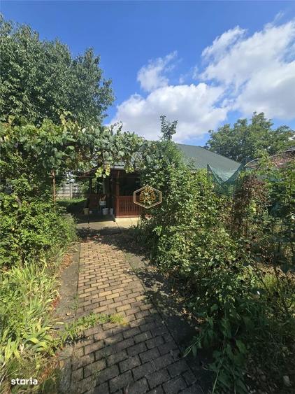 Casa de vacanta cu teren 569 mp | Str. 9 Mai - Bercu Rosu | - 6