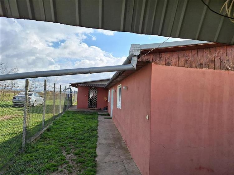 Casă individuală cu 3 camere cu Canalizare în Săbolciu