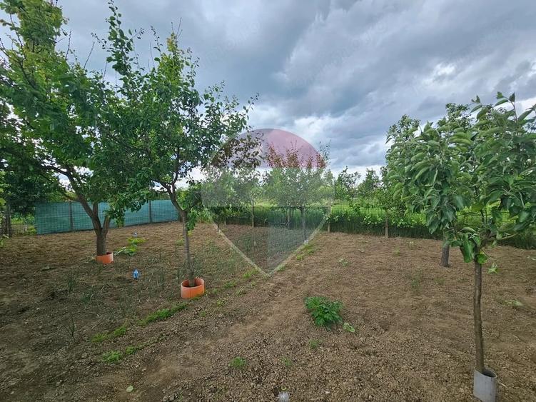 Casă cu Teren 855 Mp în Central