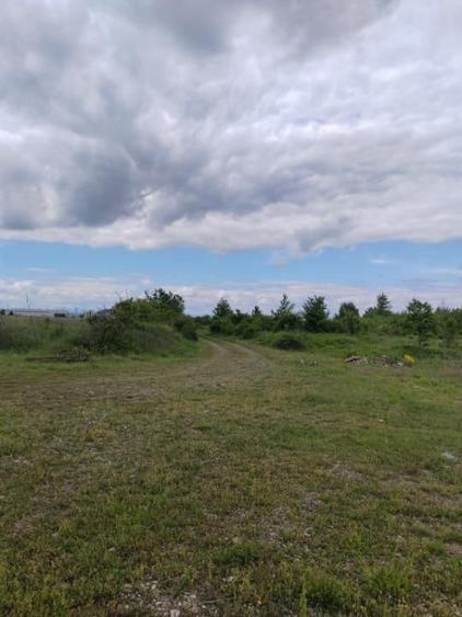 Teren de 114000 mp, în Ariceștii Rahtivani