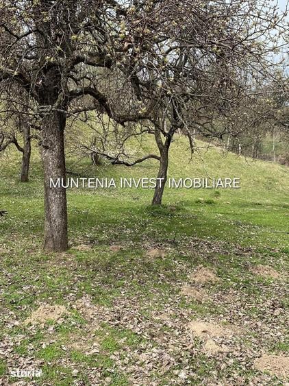 Teren de 2765 mp, în Albota