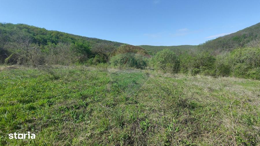 Teren de 3350 mp, în Moldovenești