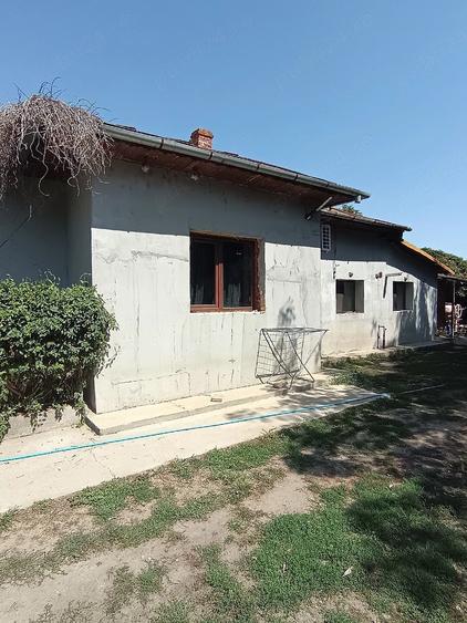 Casă cu Teren 2100 Mp în Crivina