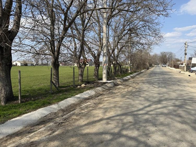 Teren de 130000 mp, în Armeni