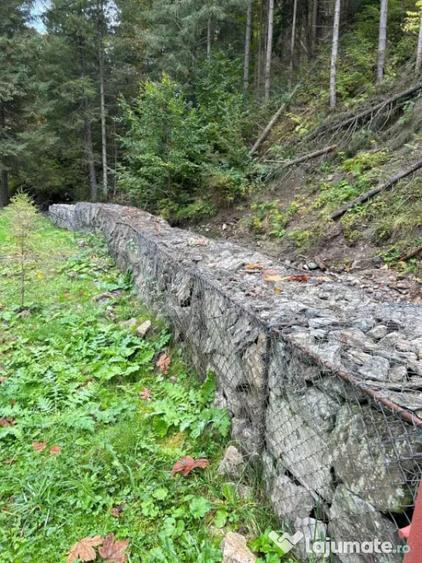 Casă cu 4 camere cu Teren 1635 Mp în Șugag