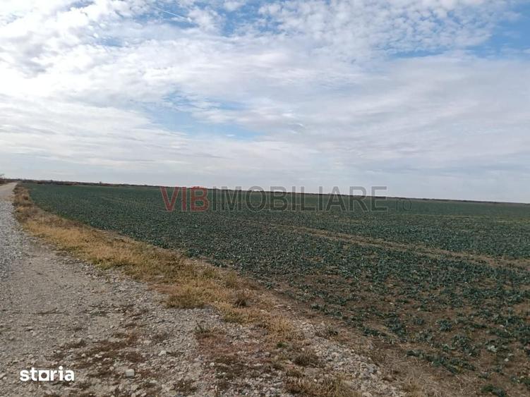 Teren de 13500000 mp, în Central