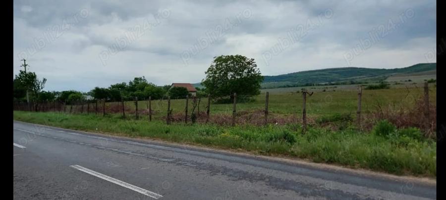 Teren de 11780 mp, în Merei