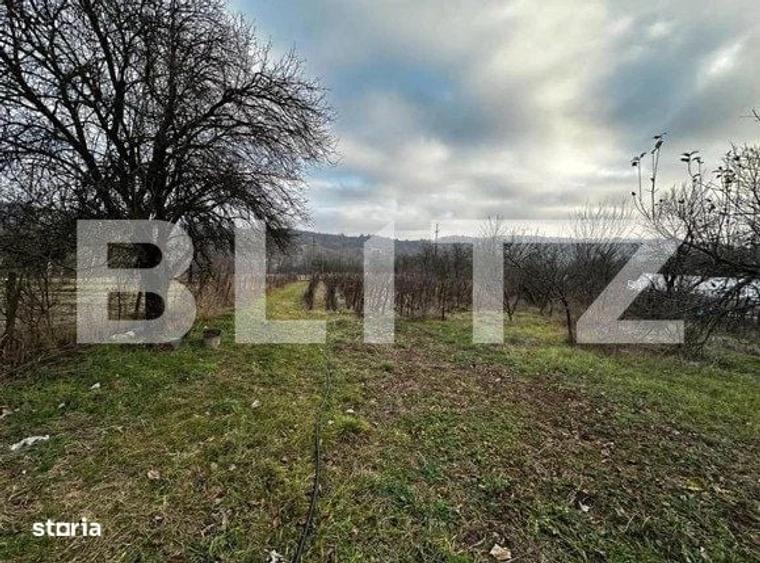 Spațiu comercial, în Iezureni
