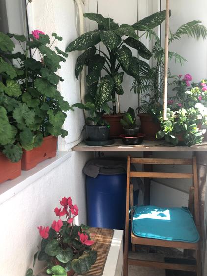 Apartament cu 4 camere nedecomandat, mobilat în Brâncoveanu