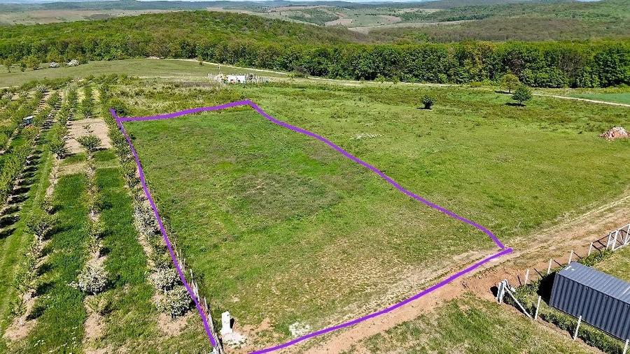Teren de 3000 mp, în Săldăbagiu de Munte