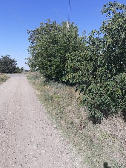 Teren de 4000 mp, în Căldărușeanca