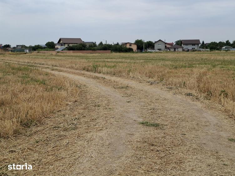 Teren de 1600 mp, în Cernica