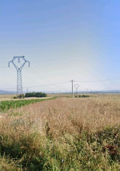 Teren Construcții extravilan de 9800 mp, în Filiași