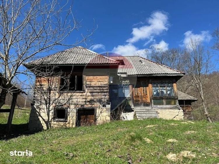 Teren de 7495 mp, în Bârsana