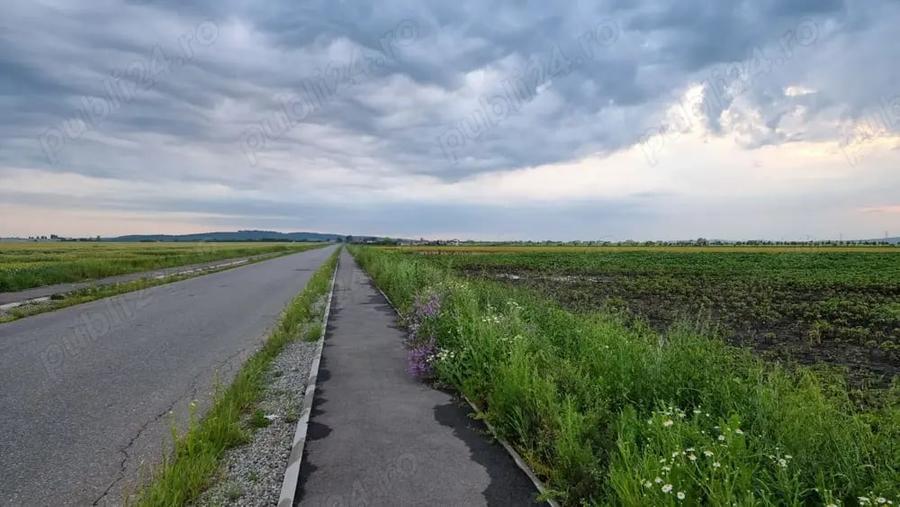 Teren de 30000 mp, în Filipeștii de Târg