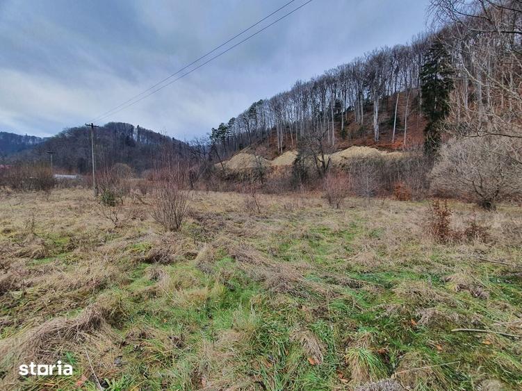Teren de 4600 mp, în Central