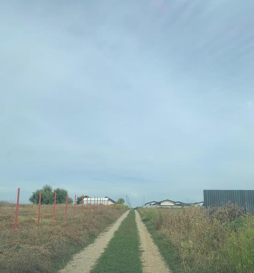 Teren agricol intravilan de 4000 mp, în Dimieni