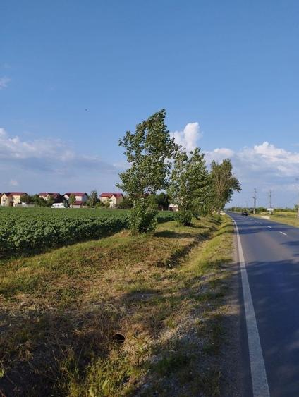 Teren Construcții intravilan de 5000 mp, în Balotești