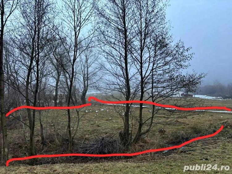 Teren în Plaiul Foii