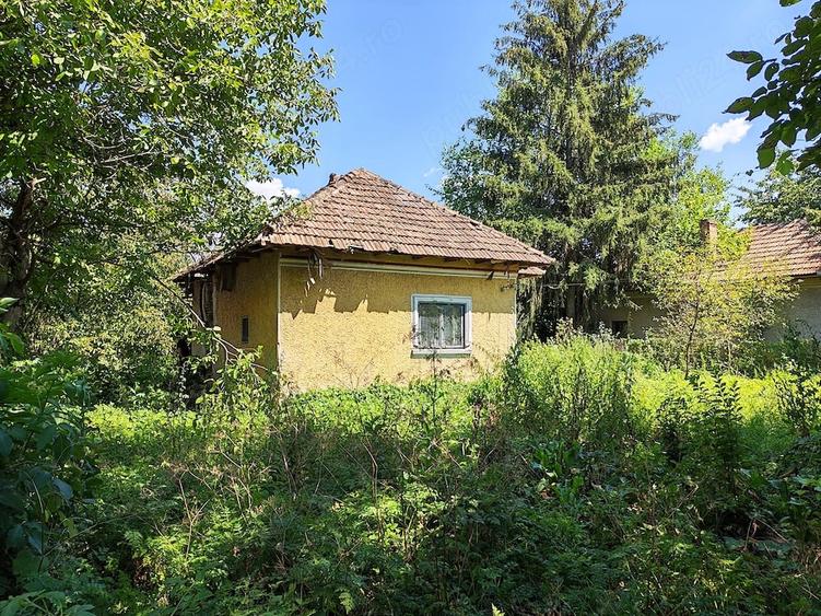 Teren de 5000 mp, în Central