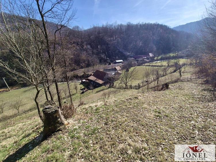 Casă individuală cu 2 camere cu Teren 9544 Mp în Meteș