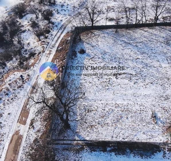 TEREN intravilan 1000 mp – ALEXANDRU cel BUN, judetul Neamț - 3