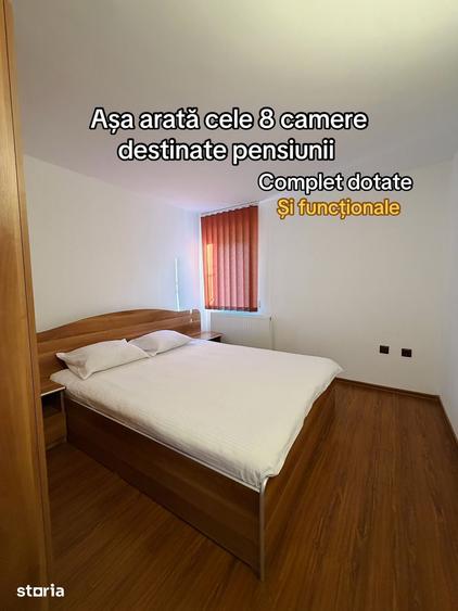 Casă cu Teren 5000 Mp în Șuncuiuș
