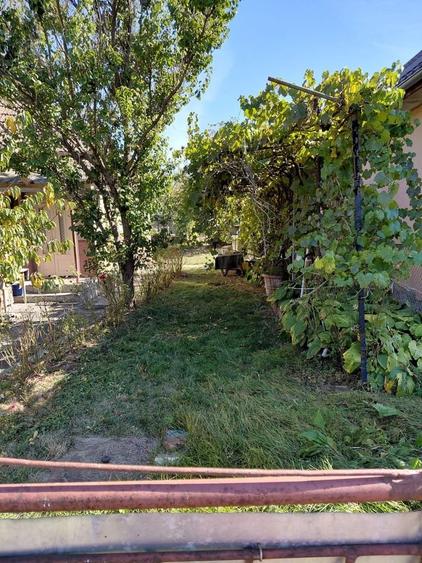 Casă cu 3 camere în Central