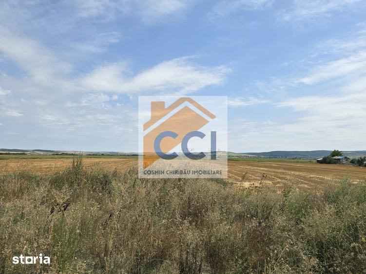 Teren de 50000 mp, în Letea Veche