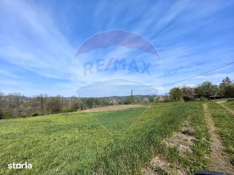 Teren de 3000 mp, în Copalnic