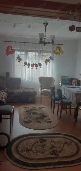 Casa cu curte mare ?i vie pe spalieri - 3