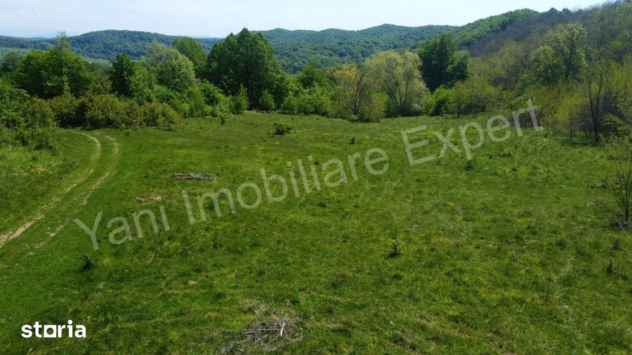 Teren de 19452 mp, în Central
